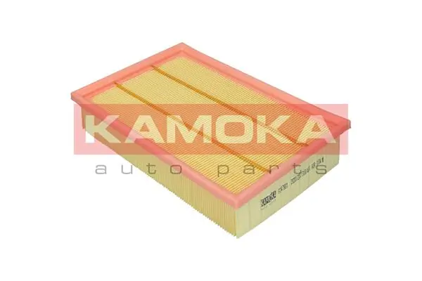 Air Filter F247801