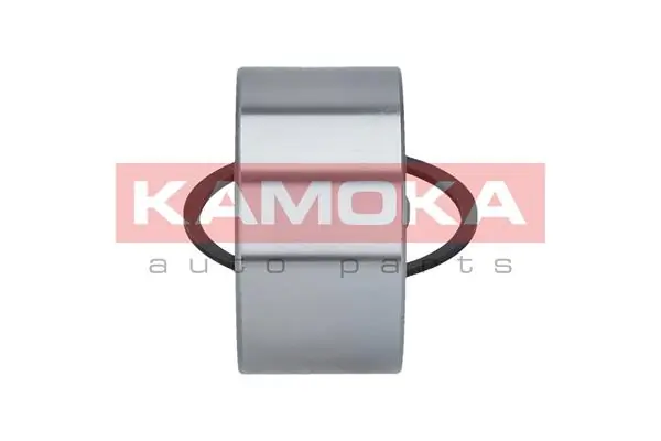 Wheel Bearing Kit 5500348