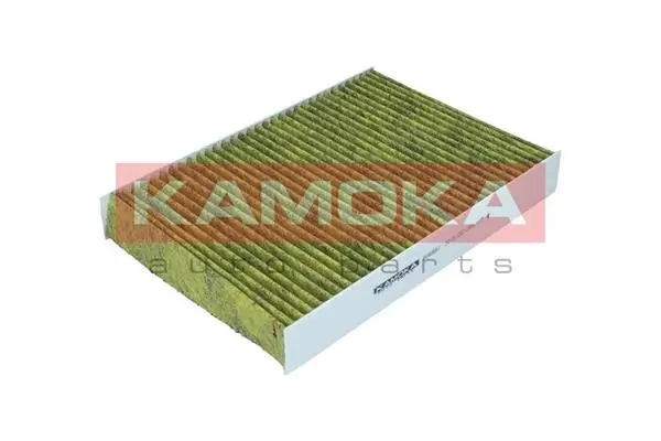 Filter, cabin air 6080067