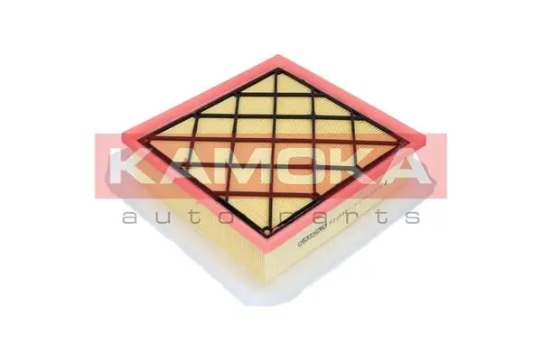 Air Filter F222301