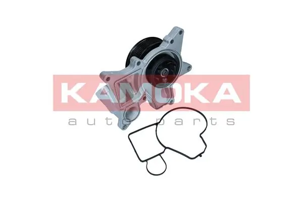 Water Pump, engine cooling T0298