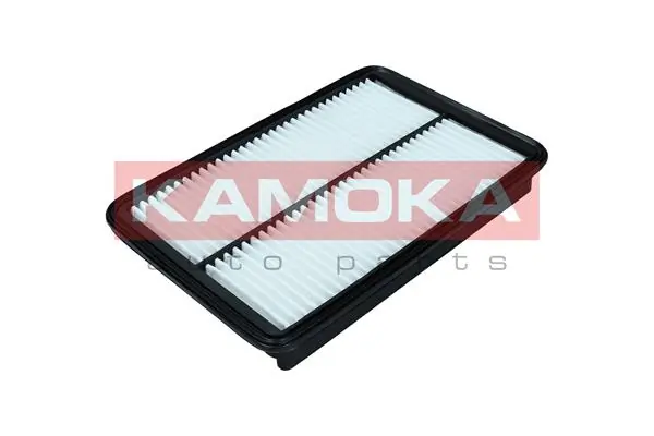 Air Filter F240001