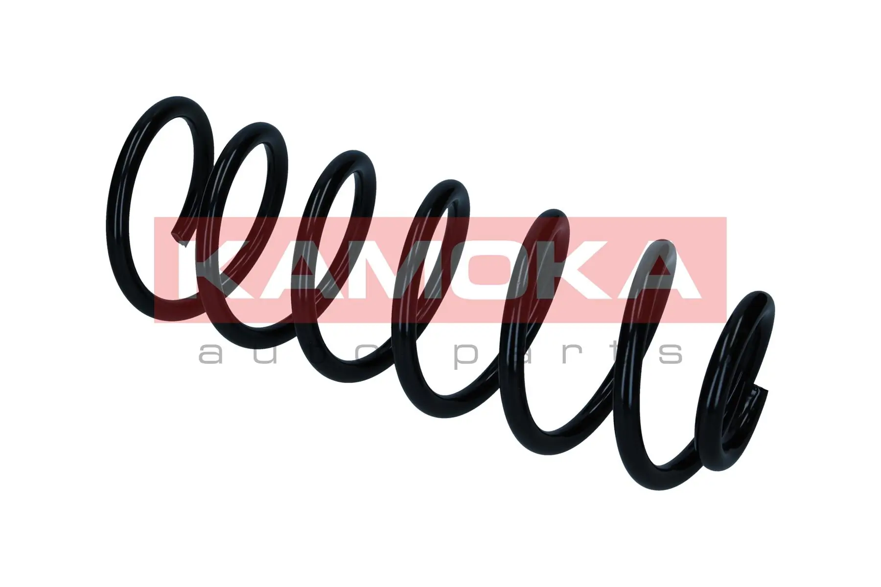 Suspension Spring 2120385