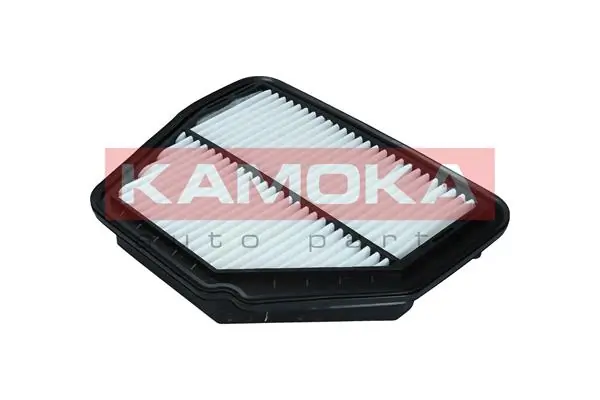 Air Filter F246101