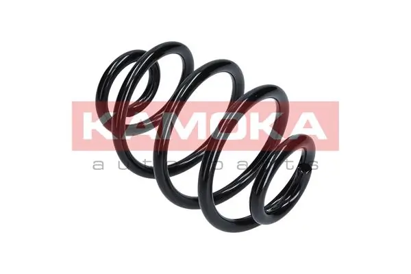 Suspension Spring 2120052