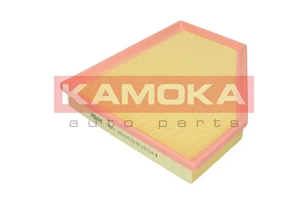 Air Filter F252601