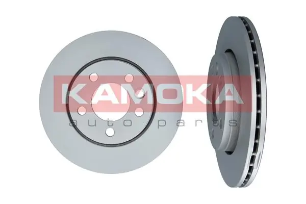 Brake Disc 1031120