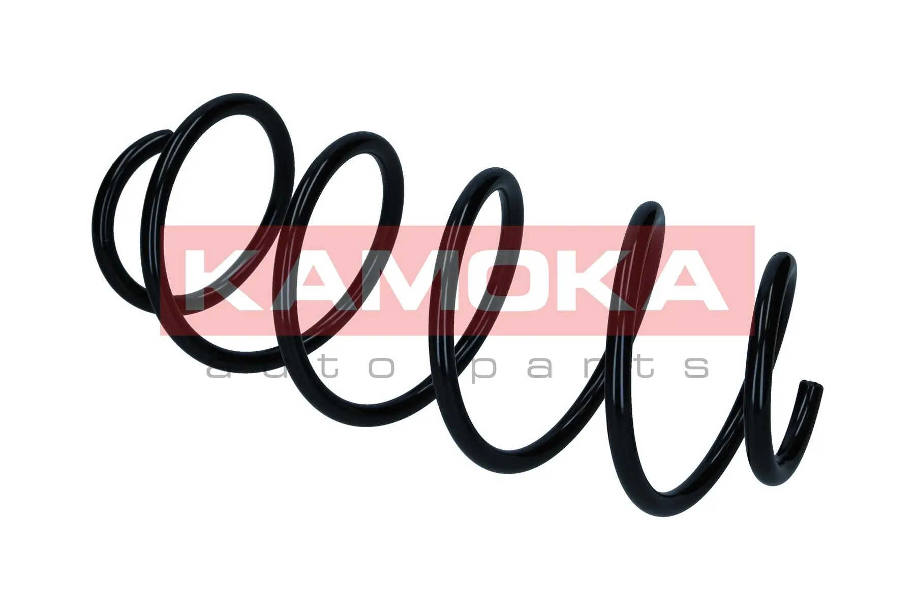 Suspension Spring 2110711