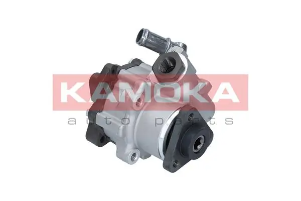 Hydraulic Pump, steering PP020