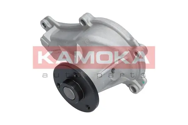 Water Pump, engine cooling T0078