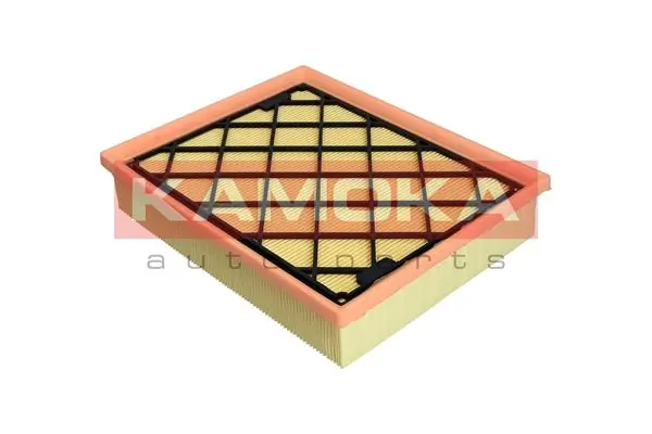 Air Filter F253001