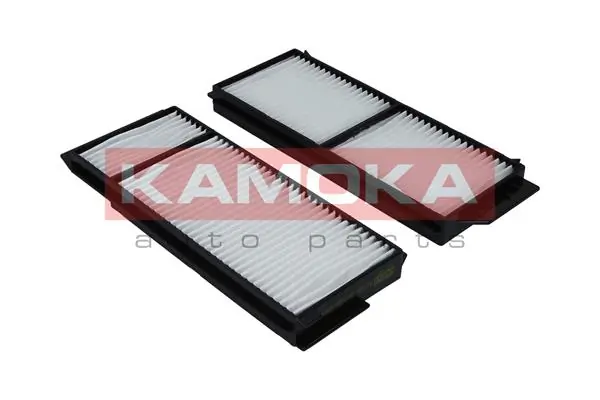 Filter, cabin air F411801