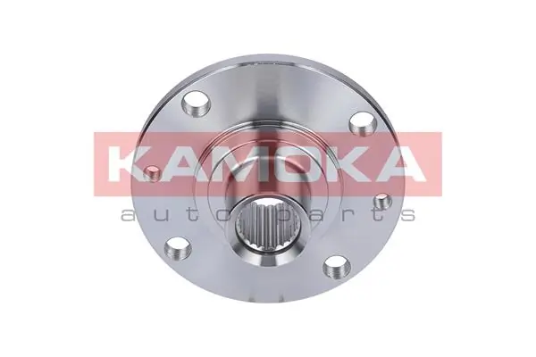 Wheel Hub 5500107