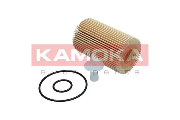 Oil Filter F116901