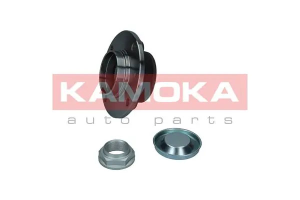 Wheel Bearing Kit 5500156