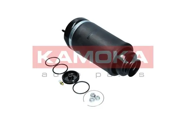 Air Spring, suspension 2079044