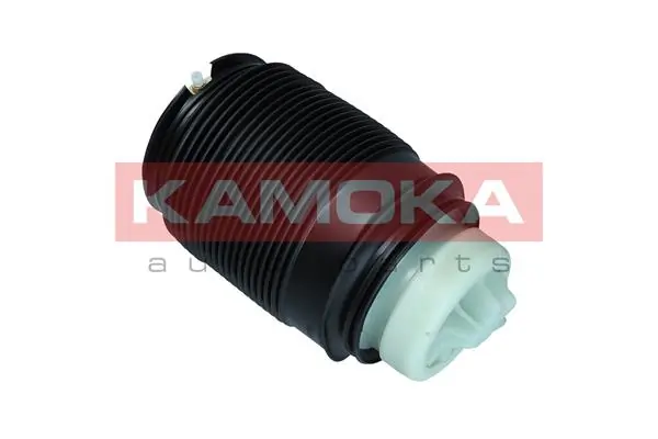 Air Spring, suspension 2079043