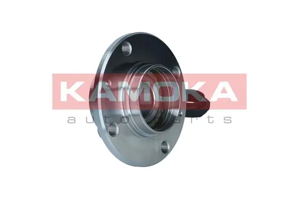 Wheel Bearing Kit 5500042