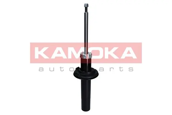 Shock Absorber 2000648