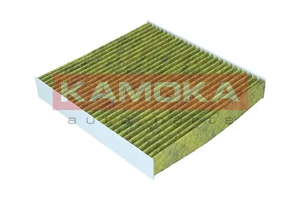 Filter, cabin air 6080153