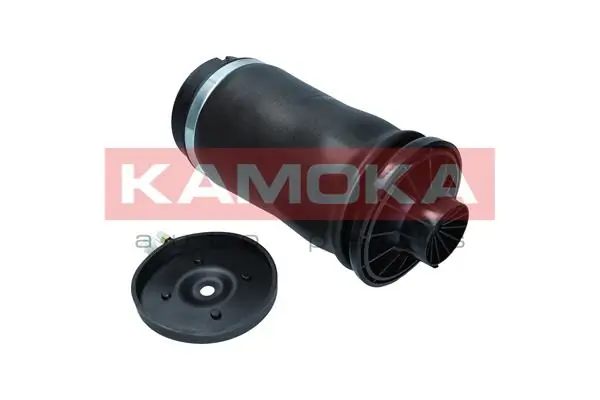 Air Spring, suspension 2079045