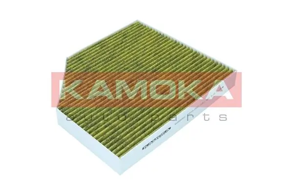 Filter, cabin air 6080062