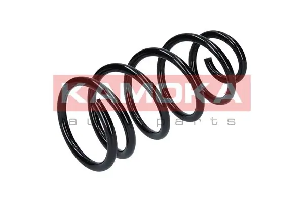 Suspension Spring 2120088