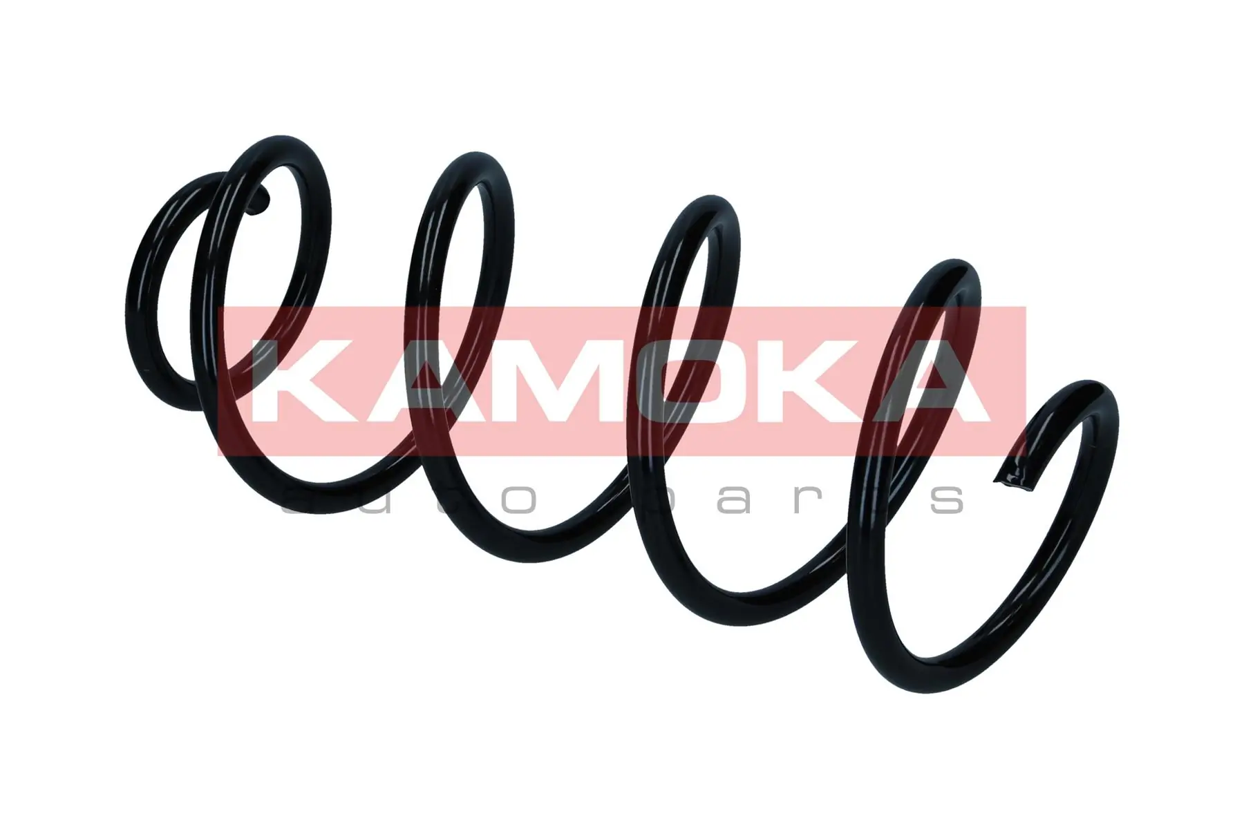 Suspension Spring 2110842