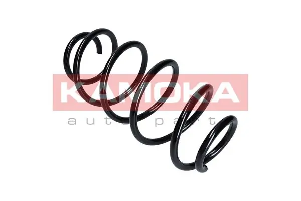 Suspension Spring 2110163