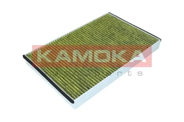 Filter, cabin air 6080063