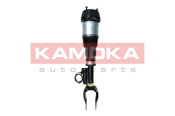 Air Suspension Strut 2070003