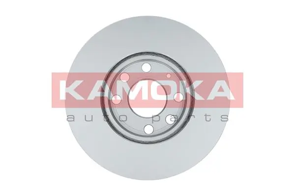 Brake Disc 1036808