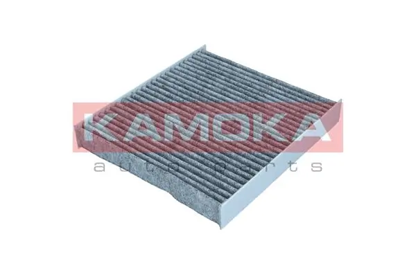 Filter, cabin air F521701