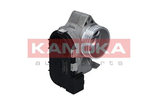 Throttle Body 112020