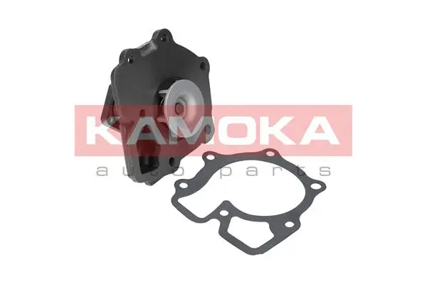 Water Pump, engine cooling T0143