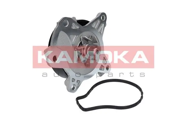 Water Pump, engine cooling T0262