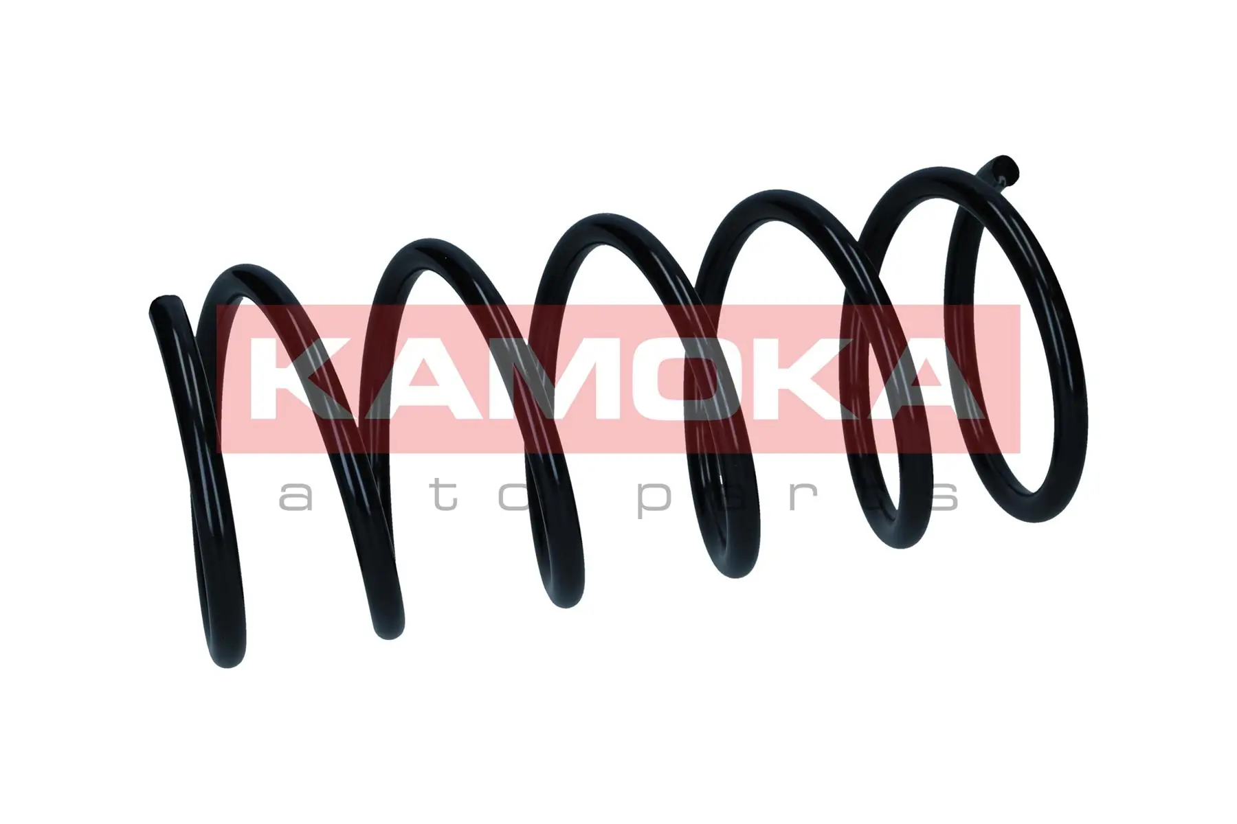 Suspension Spring 2110554