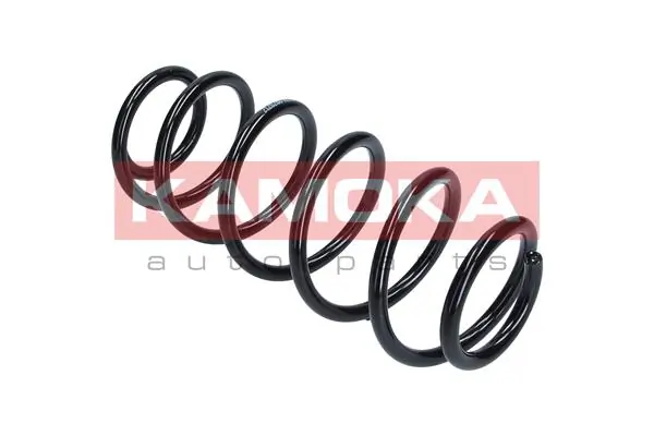 Suspension Spring 2120280