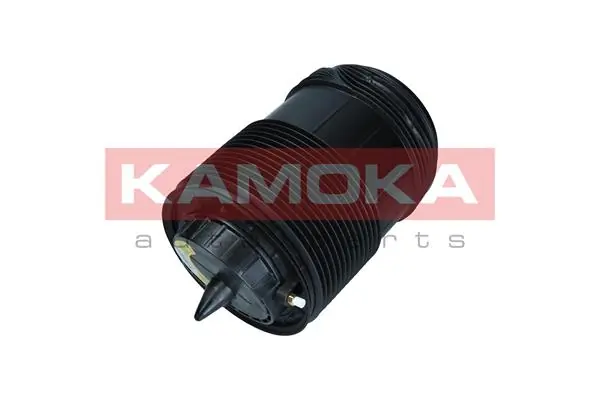 Air Spring, suspension 2079015