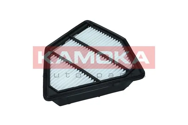 Air Filter F246901