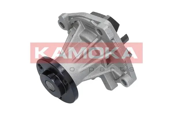 Water Pump, engine cooling T0024