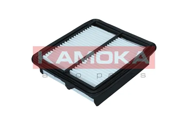 Air Filter F260001