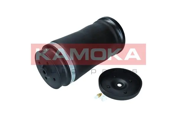 Air Spring, suspension 2079045