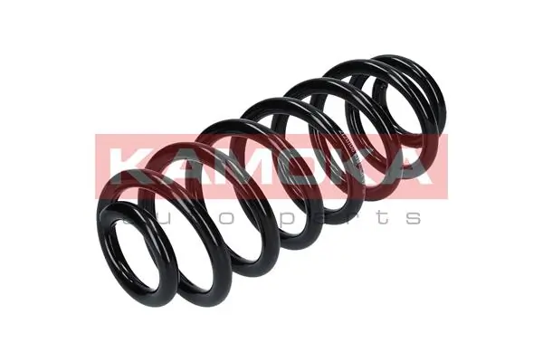 Suspension Spring 2120160