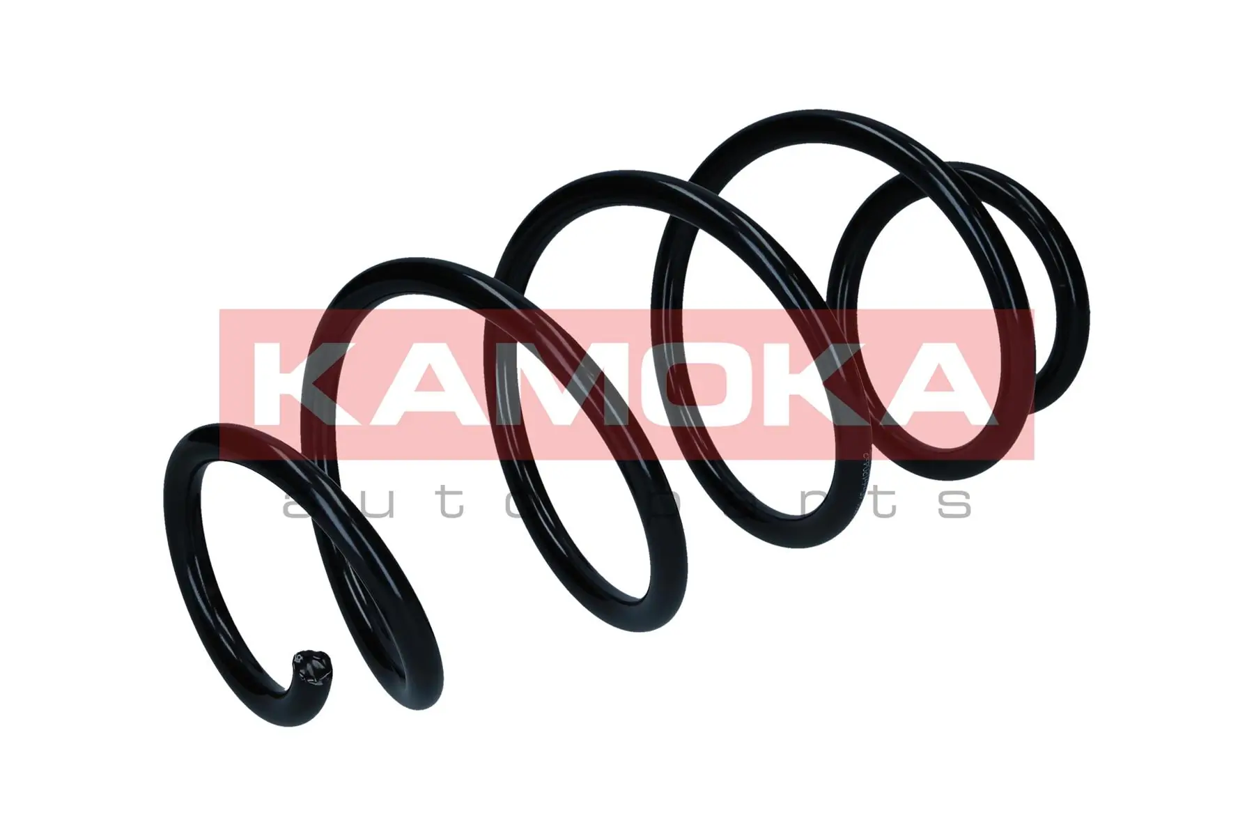 Suspension Spring 2110509