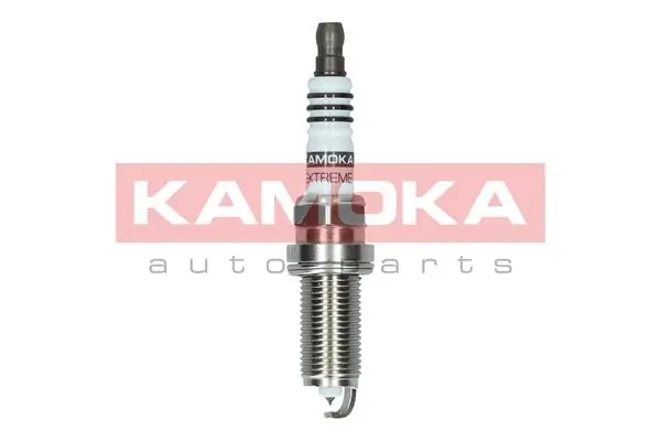 Spark Plug 7100056