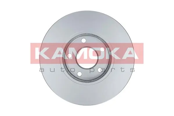 Brake Disc 103245