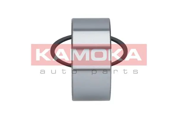 Wheel Bearing Kit 5600094