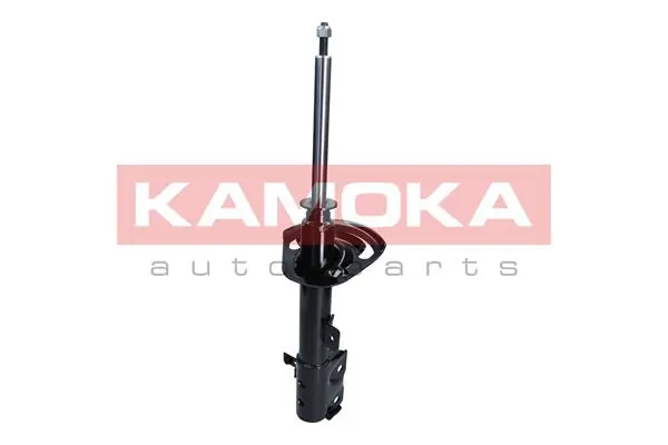 Shock Absorber 2000317