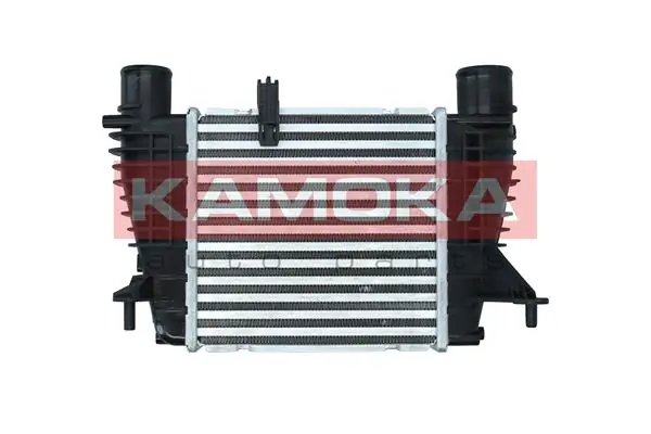 Charge Air Cooler 7750076